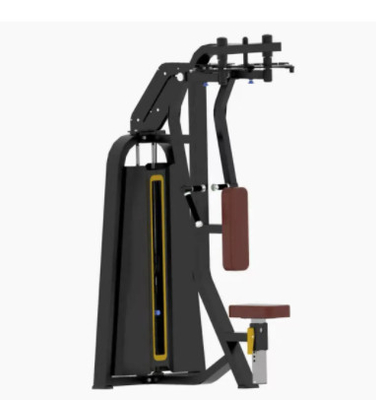 Machine droite 200kg de coffre d'agrafe de bras posée par équipement commercial de gymnase d'OEM