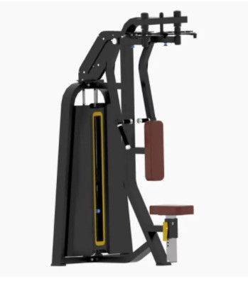 Machine droite 200kg de coffre d'agrafe de bras posée par équipement commercial de gymnase d'OEM