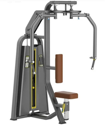 Machine droite 200kg de coffre d'agrafe de bras posée par équipement commercial de gymnase d'OEM