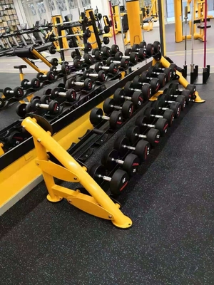 Support 80kg d'haltère de rangée de l'haltère 2 de forme physique de club de gymnase de muscle d'exercice