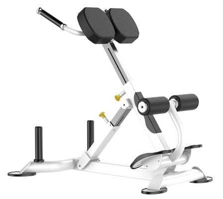 Machine de Rohs Roman Chair Back Extension Exercise pour le gymnase