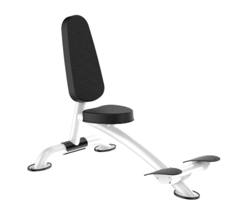 Machine de Rohs Roman Chair Back Extension Exercise pour le gymnase