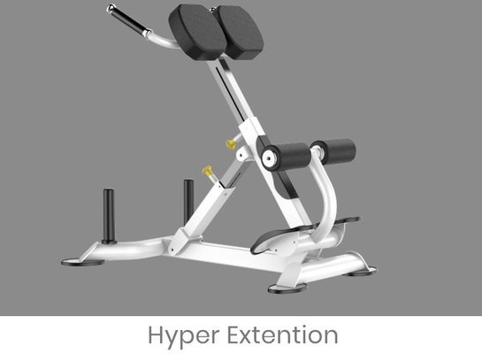 Machine de Rohs Roman Chair Back Extension Exercise pour le gymnase