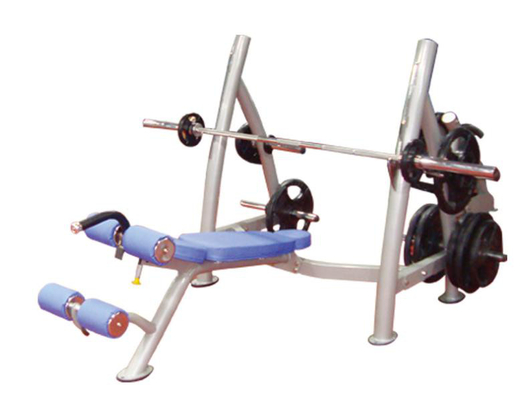 Banc de poids fait sur commande de gymnase de Logo Exercise Muscle Metal Decline