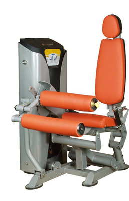Muscle oblong commercial d'exercice de machine de boucle de jambe de tube de l'équipement T3.5 de gymnase