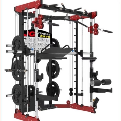 Forme physique accroupie Smith Machine Home Gym de torsion de Barbell de Barbell
