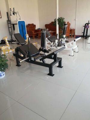 les fesses de matériel de formation de levage de fesses poussent l'équipement à la maison commercial d'exercice de forme physique de machine de poids