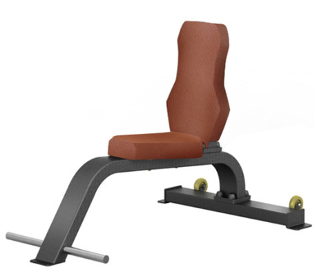 Banc plat de séance d'entraînement de gymnase universel d'intérieur de la musculation ISO9001