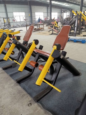 Entraîneur argenté de quadriceps de machine de presse de jambe de gymnase d'équipement de gymnase de forme physique etc.