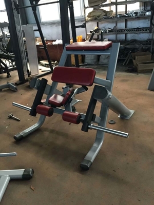 Machine libre de boucle de jambe d'agenouillement d'équipement de gymnase de poids de la CE ISO9001
