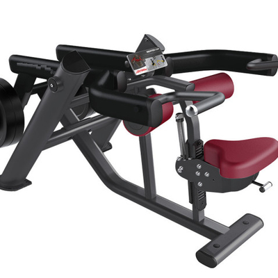 2 dans 1 machine d'immersion posée par synthèse libre d'équipement de gymnase de poids