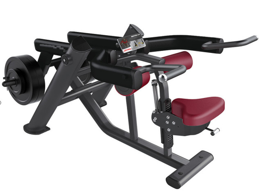 2 dans 1 machine d'immersion posée par synthèse libre d'équipement de gymnase de poids