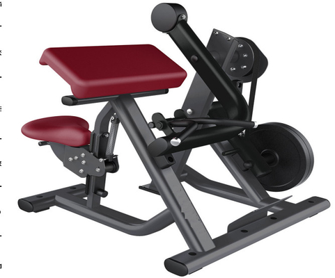 2 dans 1 machine d'immersion posée par synthèse libre d'équipement de gymnase de poids