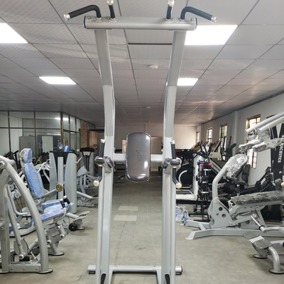 ODM d'OEM de machine de Chin Up Bar Body Fit de forme physique de bodybuilding
