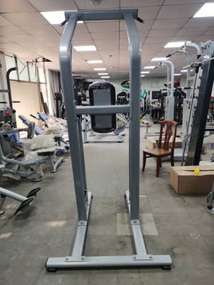 ODM d'OEM de machine de Chin Up Bar Body Fit de forme physique de bodybuilding