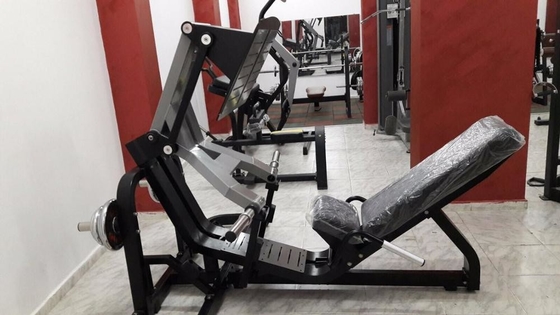 Machine de pile libre en acier de poids d'équipement de gymnase du poids Q235