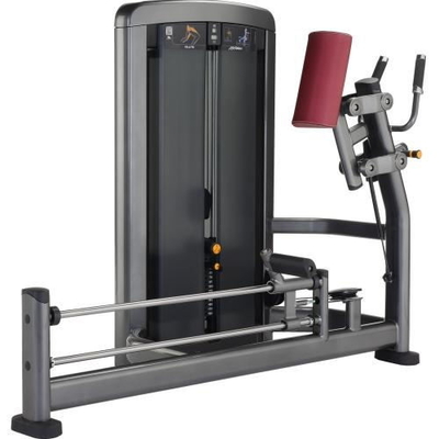 Forme physique de bodybuilding tenant l'entraîneur de gymnase intégré par machine multi de hanche
