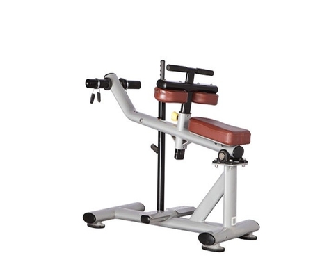 Les accessoires de forme physique du gymnase ISO9001 ont posé la machine H-029 de veau
