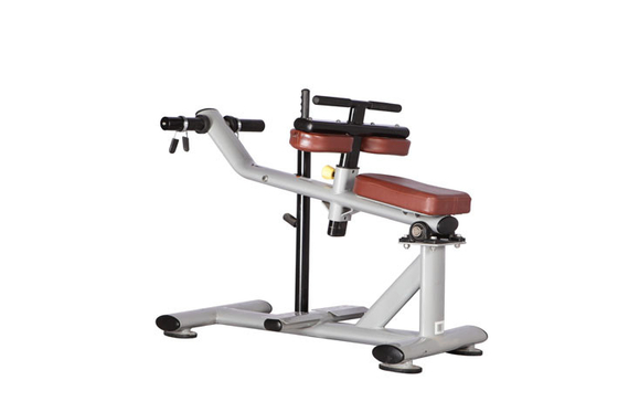 Les accessoires de forme physique du gymnase ISO9001 ont posé la machine H-029 de veau