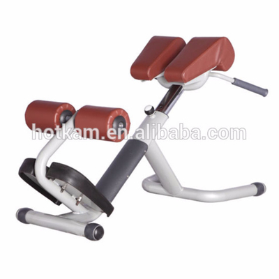 Poudre enduisant Roman Chair commercial 1380*720*620mm
