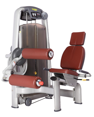 ODM d'OEM de machine posé par équipement de boucle de jambe de gymnase de forme physique de fer