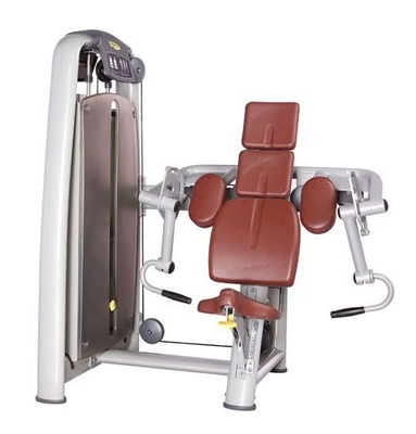 Machine de boucle de biceps d'équipement de gymnase de forme physique d'ODM d'OEM avec le cuir synthétique