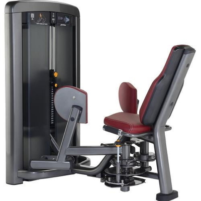 ODM d'OEM intérieur de machine de cuisse d'abduction externe de hanche de la CE ISO9001