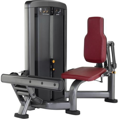 Machine posée par tube ovale d'augmenter de veau de musculation de gymnase