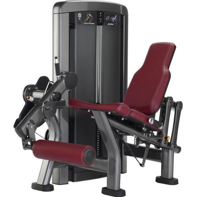Saupoudrez l'unité centrale de revêtement de fer garnissent en cuir la machine d'extension de jambe de gymnase