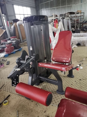Saupoudrez l'unité centrale de revêtement de fer garnissent en cuir la machine d'extension de jambe de gymnase