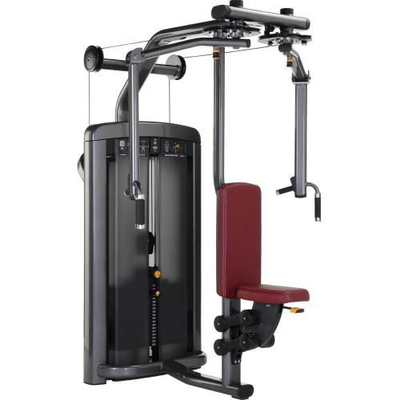 Le PEC pilotent le nouveau revêtement de poudre de gymnase de machine de Delt d'équipement de forme physique de la vie